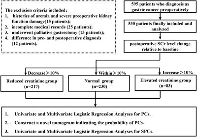 The clinical outcome of minor changes in serum creatinine for patients after curative gastrectomy: a prospective study